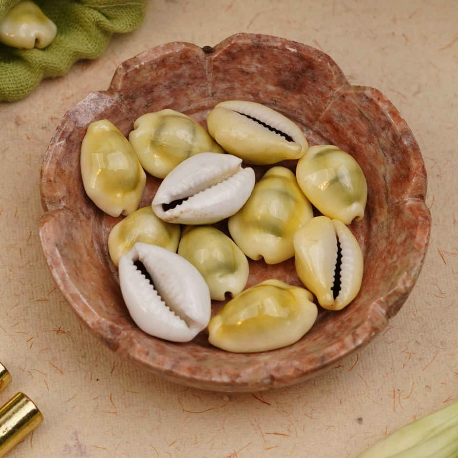 Kaudi Shells | ServDharm