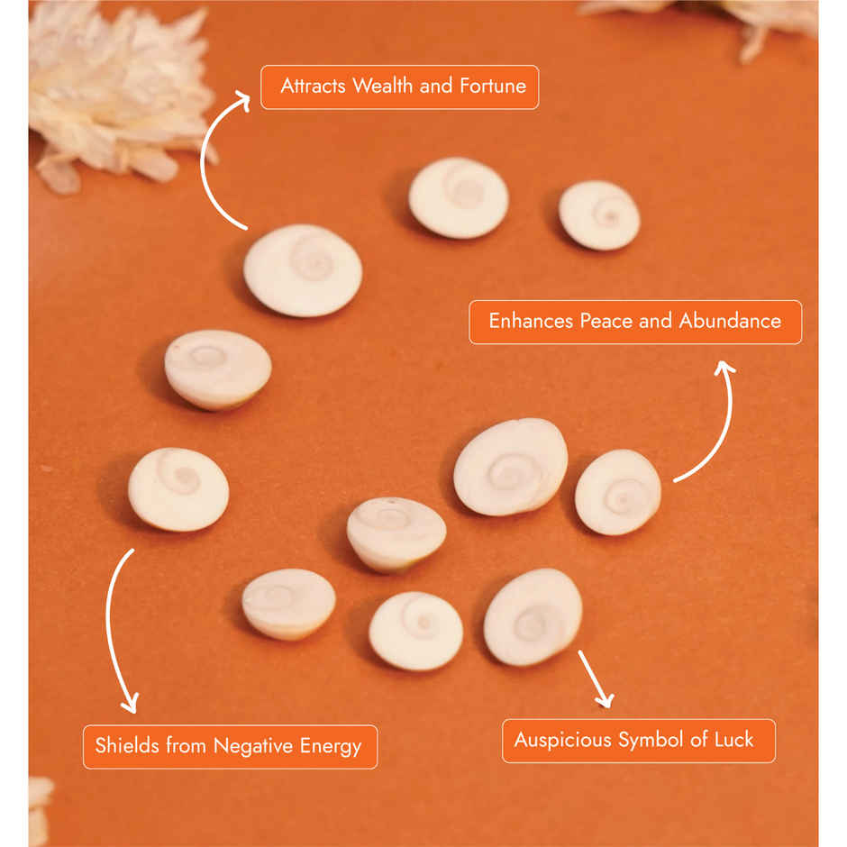 Gomati Chakra for Pooja | Auspicious Buy | ServDharm