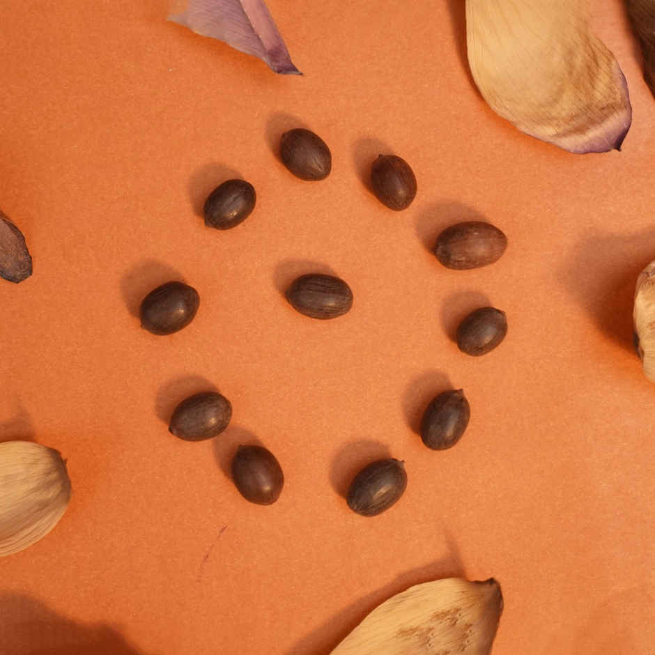 Kamal Gatta Seeds | 11 pcs | ServDharm