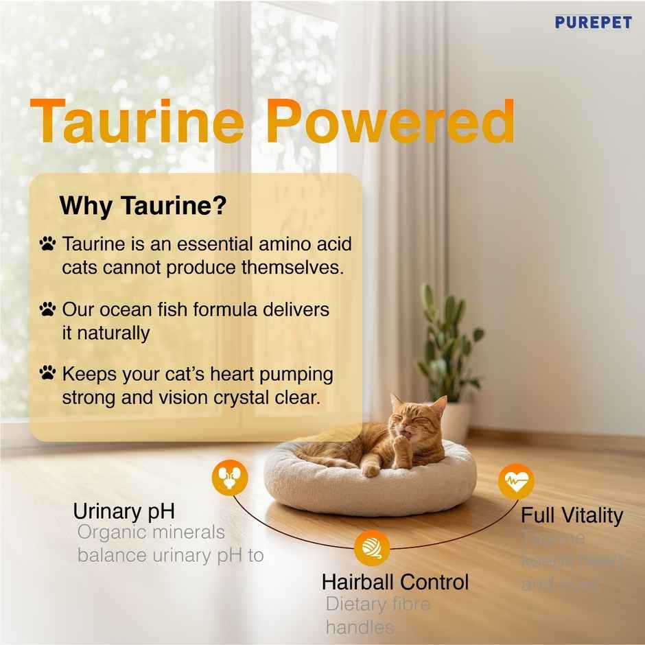 Purepet Adult Dry Cat FOOD Real Chicken