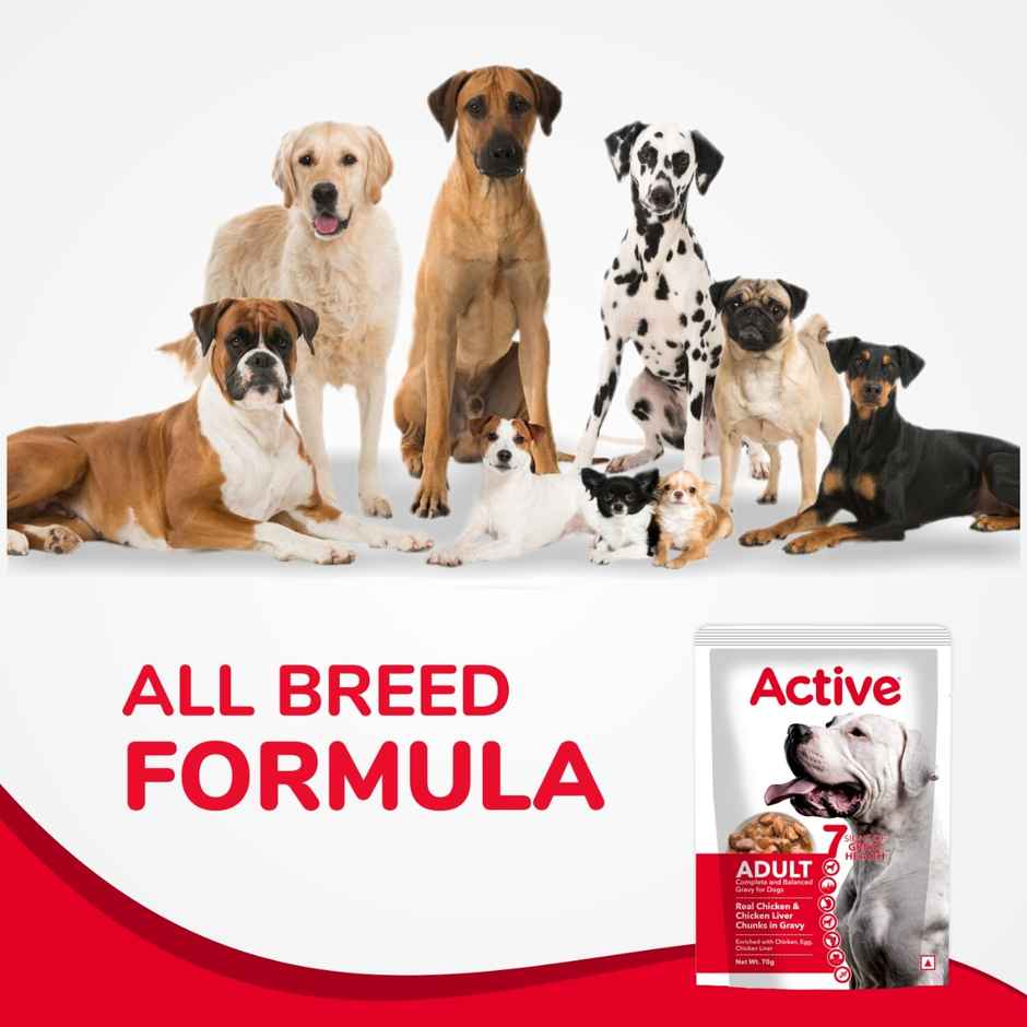 Active Puppy Gravy Wet Dog Food Chicken Liver and Real Chicken
