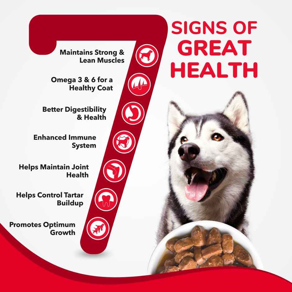 Active Puppy Gravy Wet Dog Food Chicken Liver and Real Chicken
