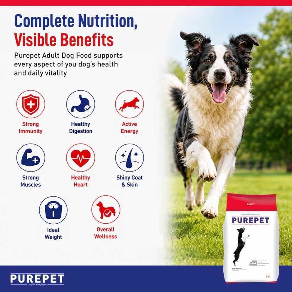 Purepet Meat And Rice Adult Dog FOOD
