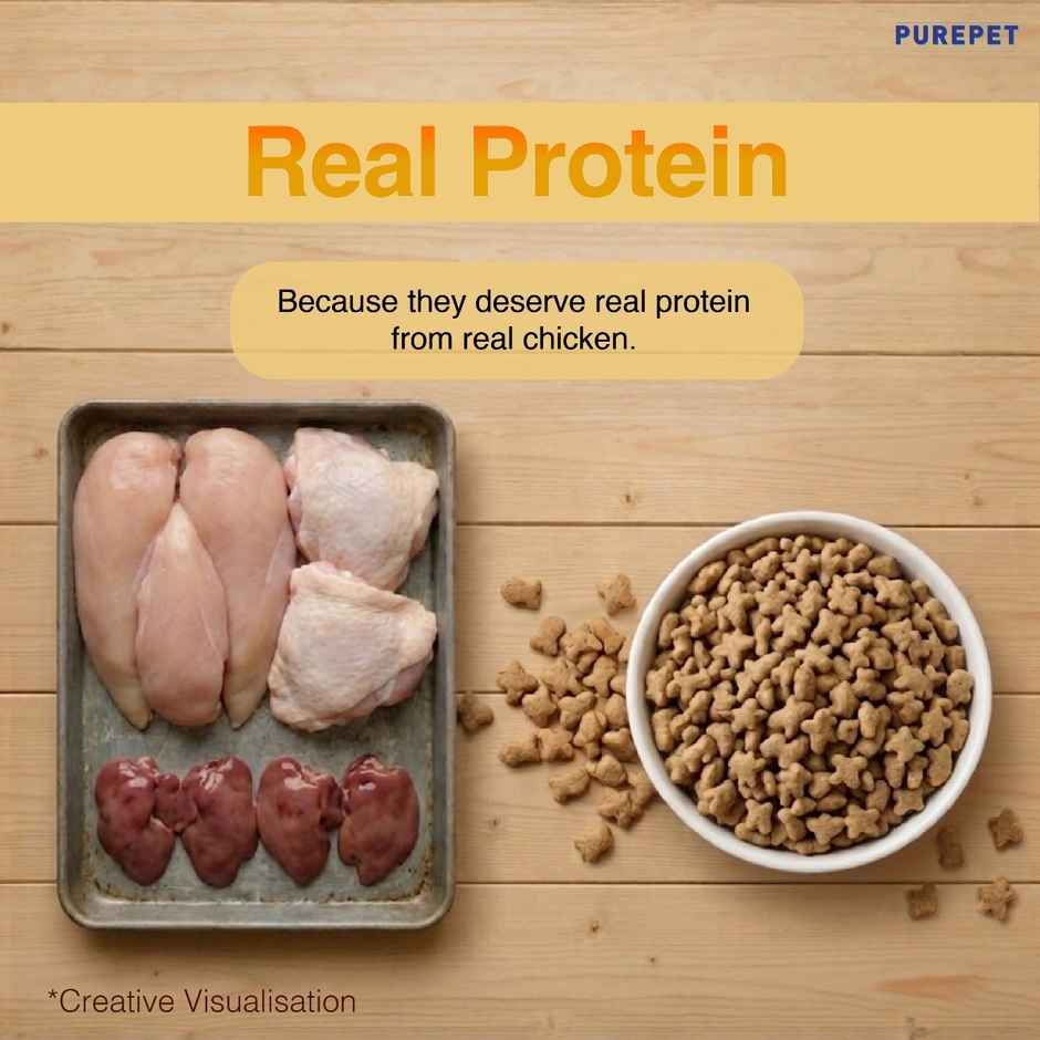Purepet Adult Dry Cat FOOD Real Chicken