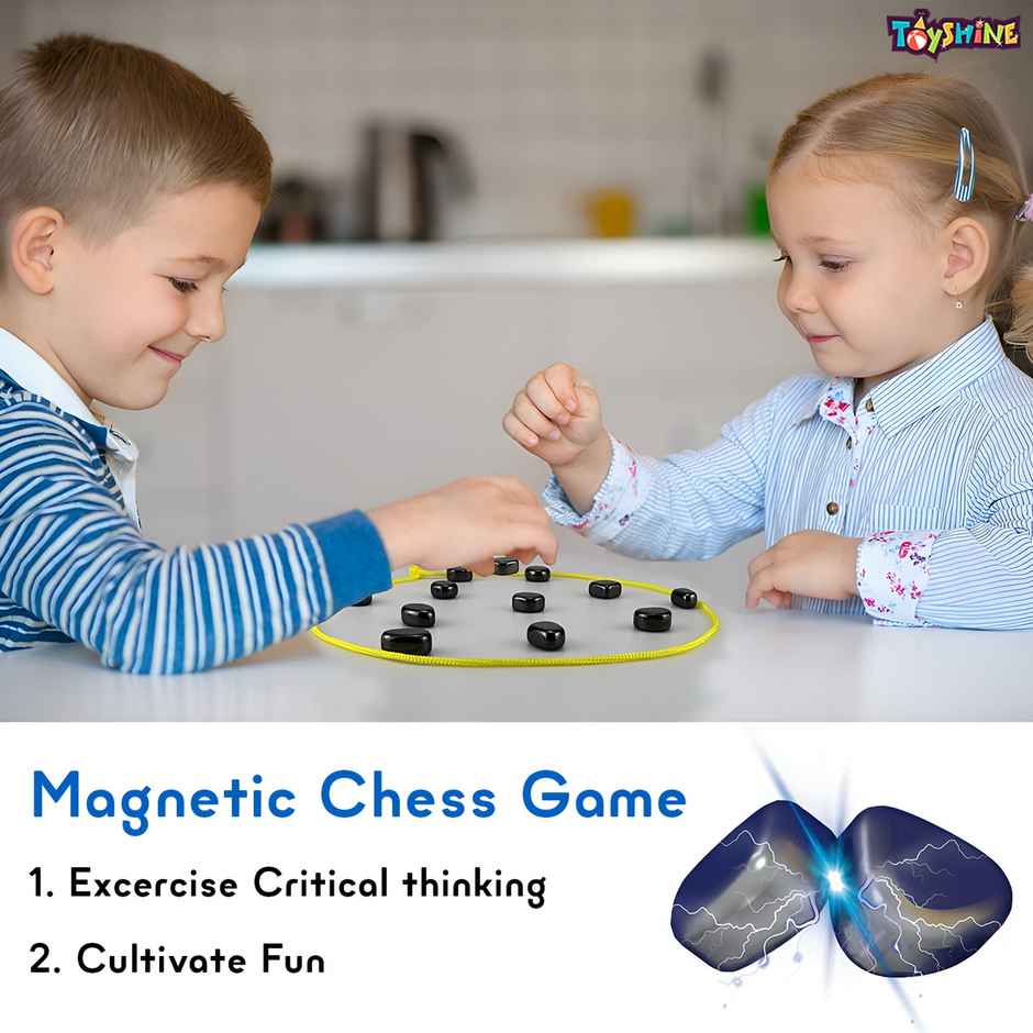 Toyshine Fun Magnetic Magna Bunch Table Top Game DIY Irregular Polished Magnets & Lanyard Set