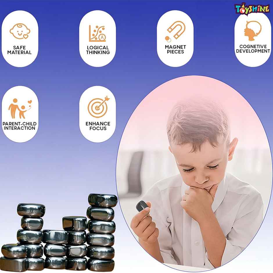 Toyshine Fun Magnetic Magna Bunch Table Top Game DIY Irregular Polished Magnets & Lanyard Set