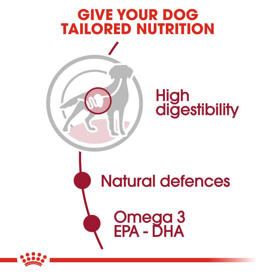 Royal Canin Medium Adult | Dog Dry Food Combo