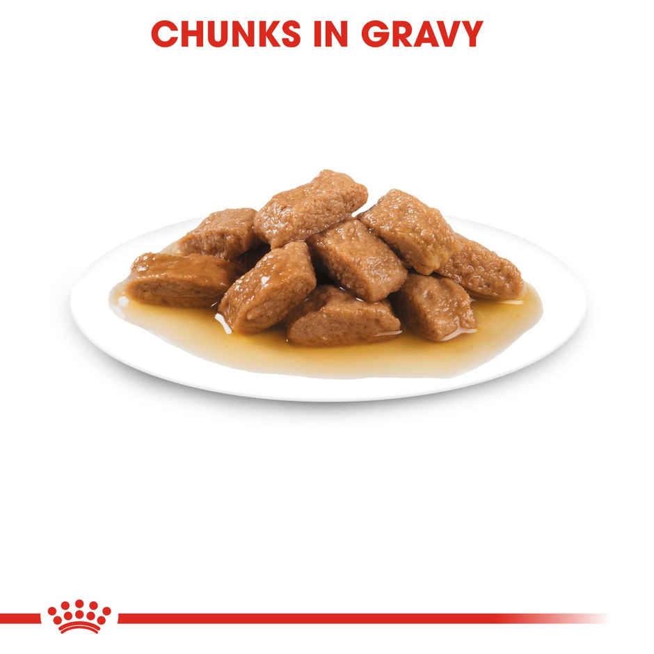 Royal Canin Medium Adult | Dog Dry Food Combo