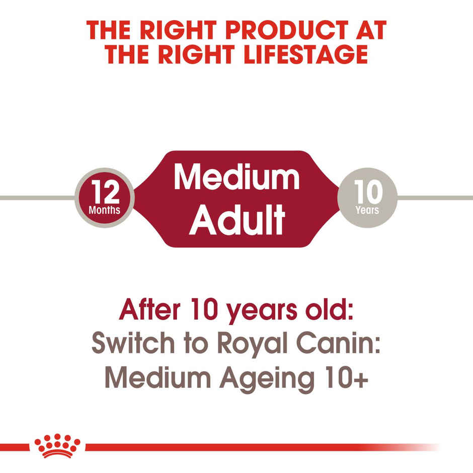 Royal Canin Medium Adult | Dog Dry Food Combo