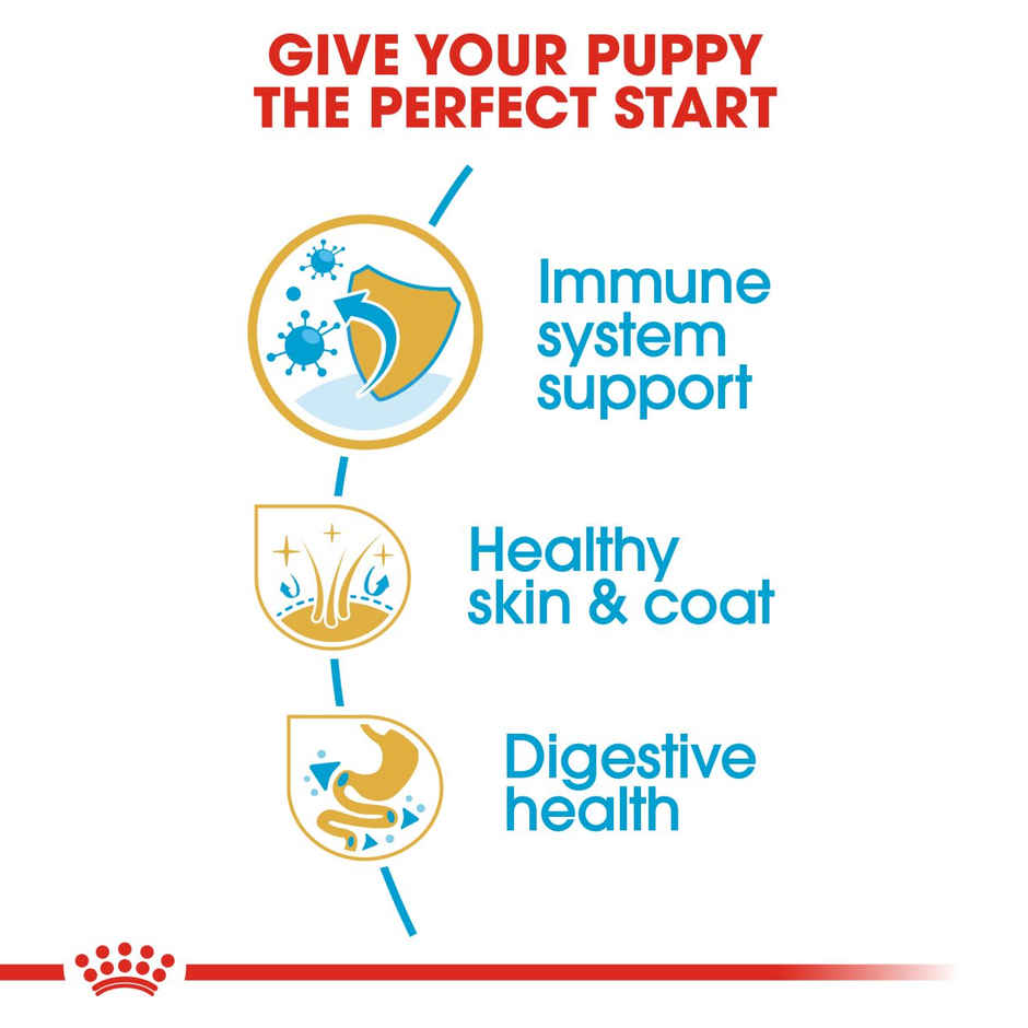 Royal Canin Bhn Shih Tzu Puppy | Dog Dry Food
