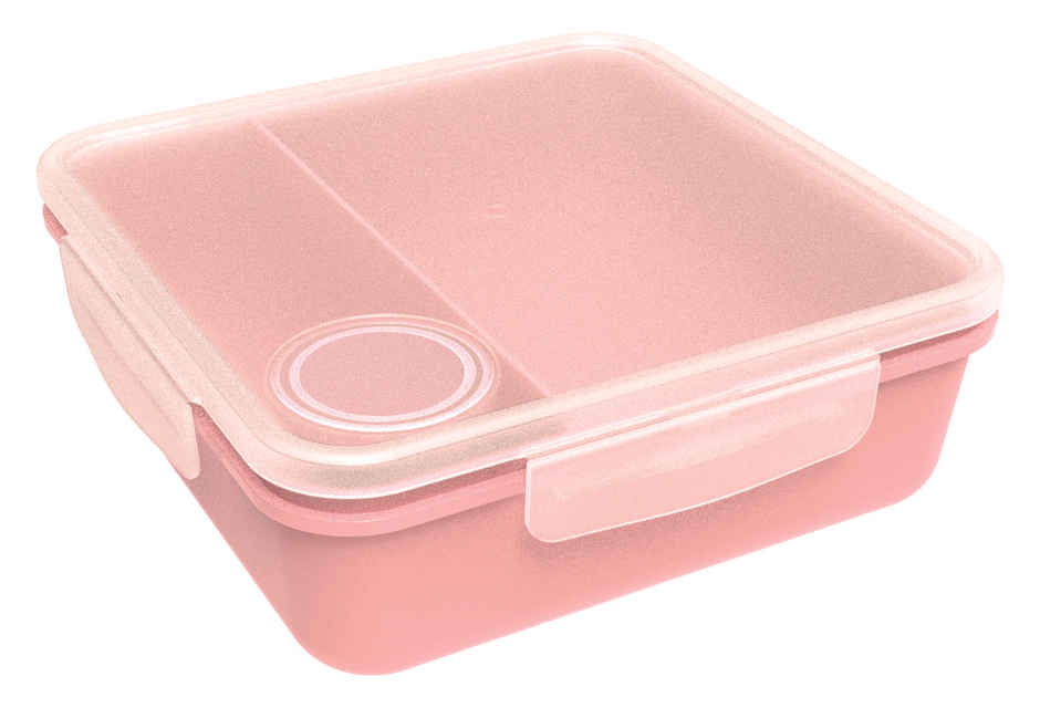 All Time Salad Lunch Box With Dip Container | 1450 ml (Colour May Vary)