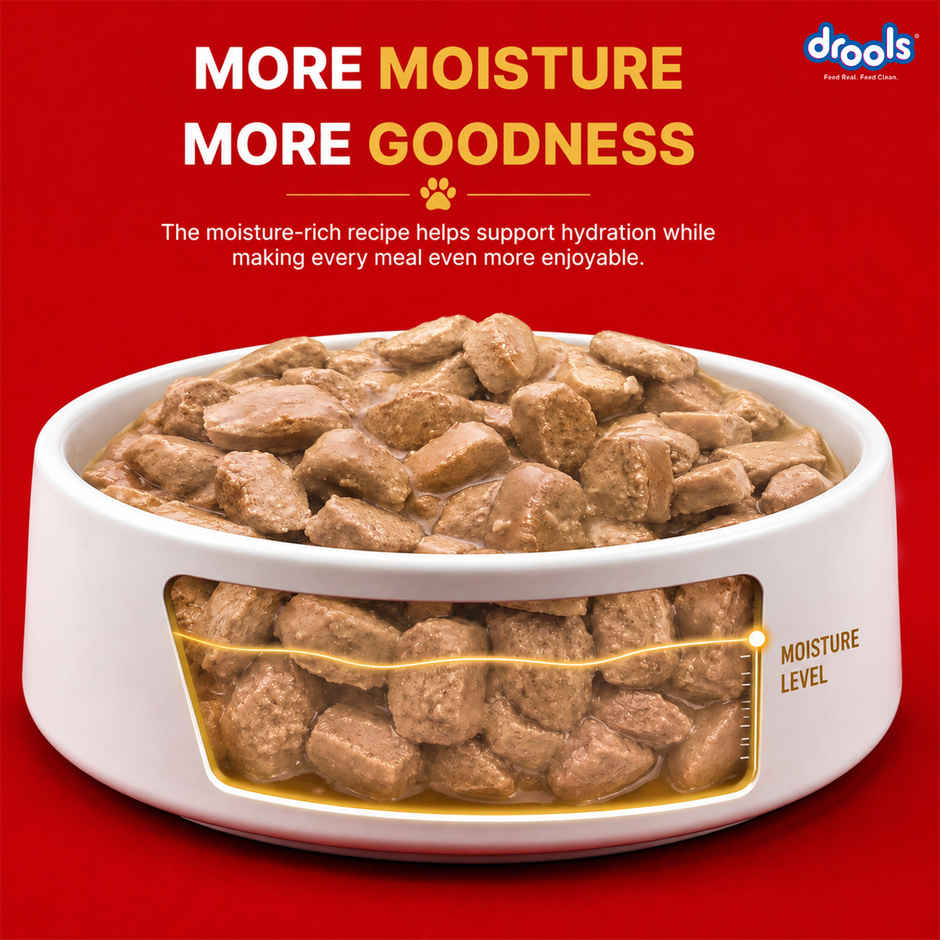 Drools Adult Wet Dog Food Chicken And Chicken Liver Chunks In Gravy (10 + 2 Pouches Free)