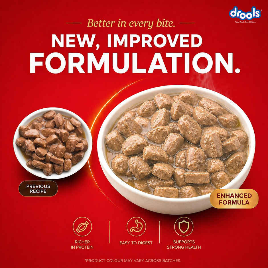 Drools Adult Wet Dog Food Chicken And Chicken Liver Chunks In Gravy (10 + 2 Pouches Free)