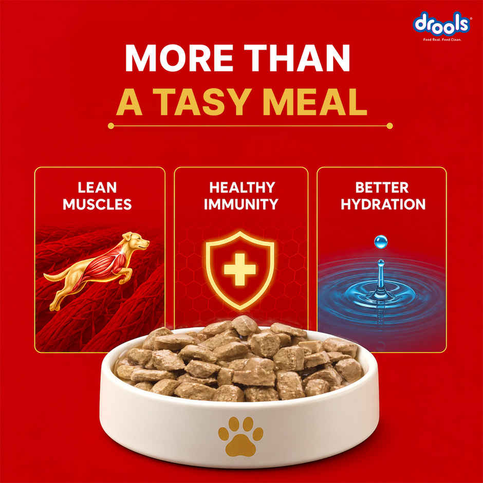 Drools Adult Wet Dog Food Chicken And Chicken Liver Chunks In Gravy (10 + 2 Pouches Free)