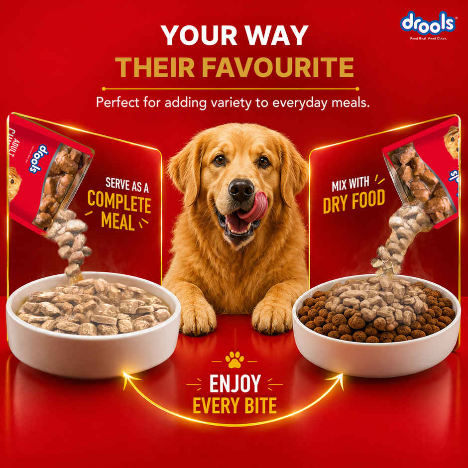 Drools Adult Wet Dog Food Chicken And Chicken Liver Chunks In Gravy (10 + 2 Pouches Free)