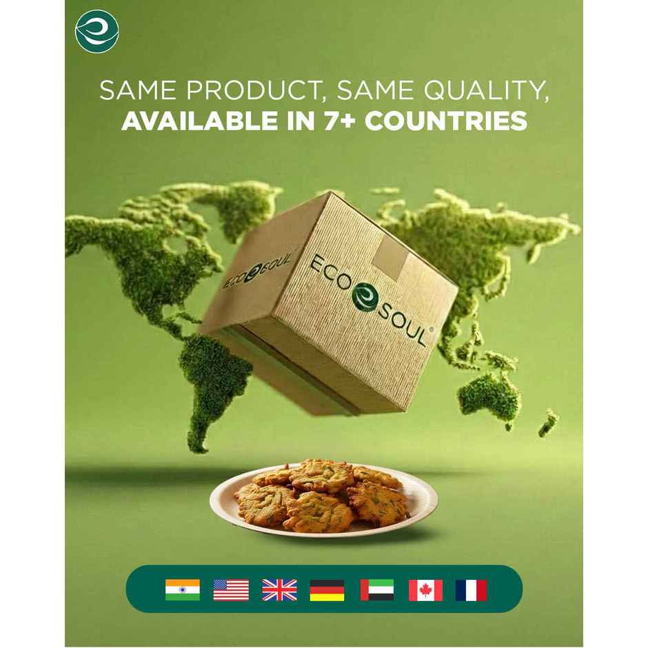 ECO SOUL | Palm Leaf Disposable Plates | 8 Inch | Round | 10 Count
