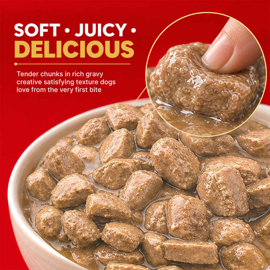Drools Adult Wet Dog Food Chicken And Chicken Liver Chunks In Gravy (10 + 2 Pouches Free)