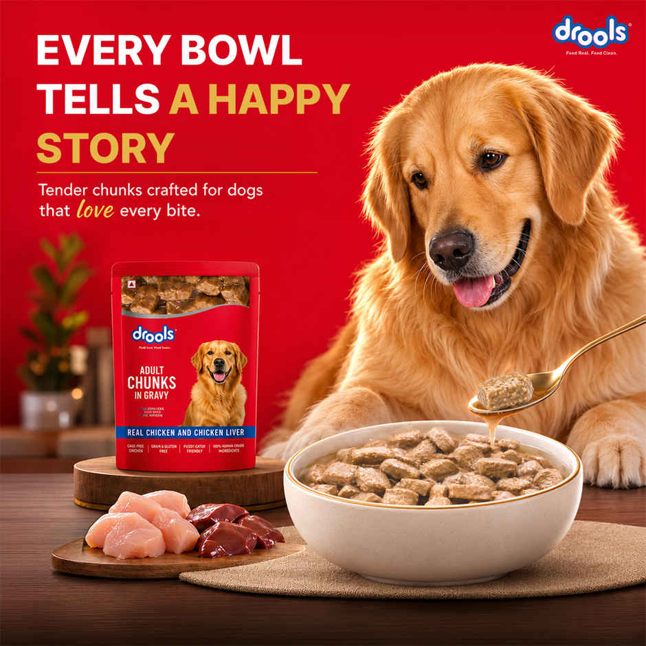Drools Adult Wet Dog Food Chicken And Chicken Liver Chunks In Gravy (10 + 2 Pouches Free)
