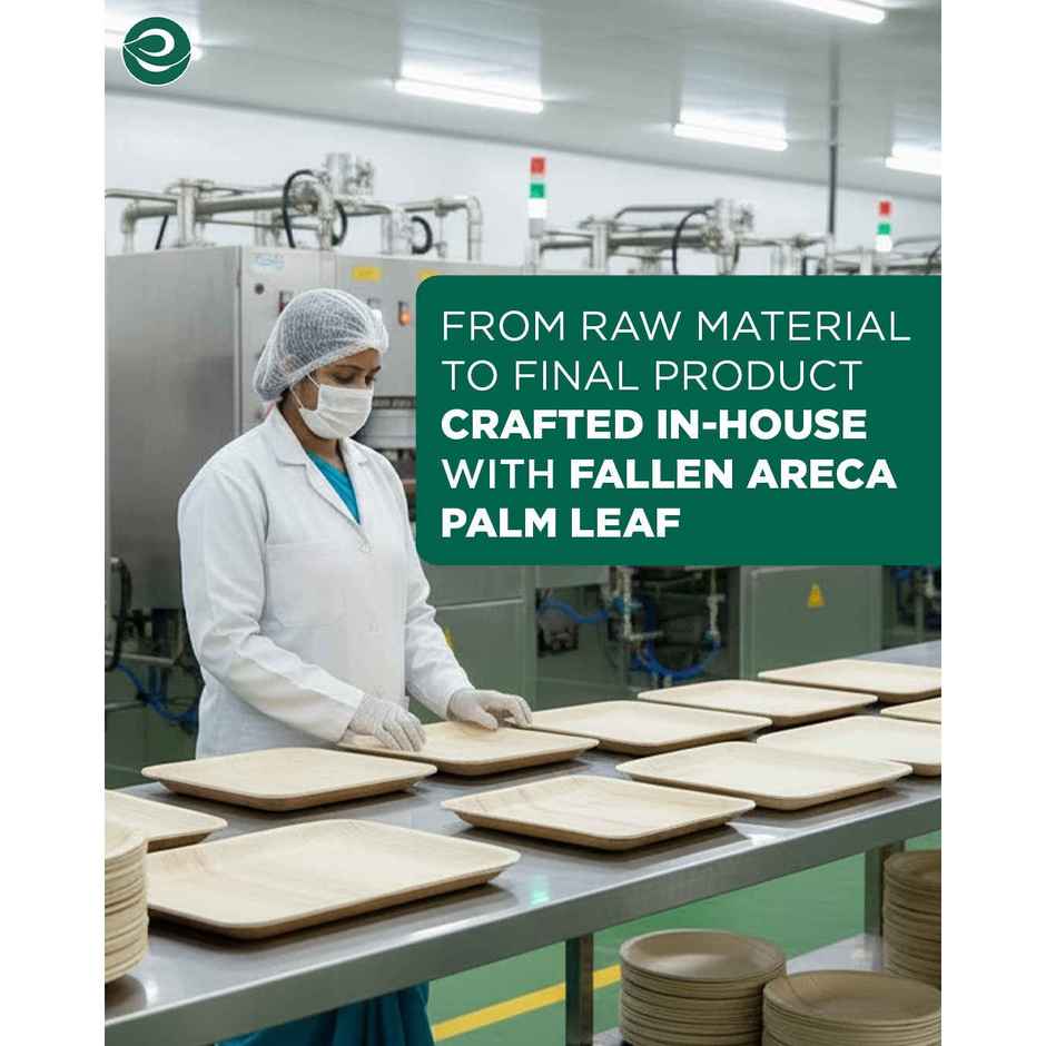 ECO SOUL | Palm Leaf Disposable Plates | 8 Inch | Round | 10 Count