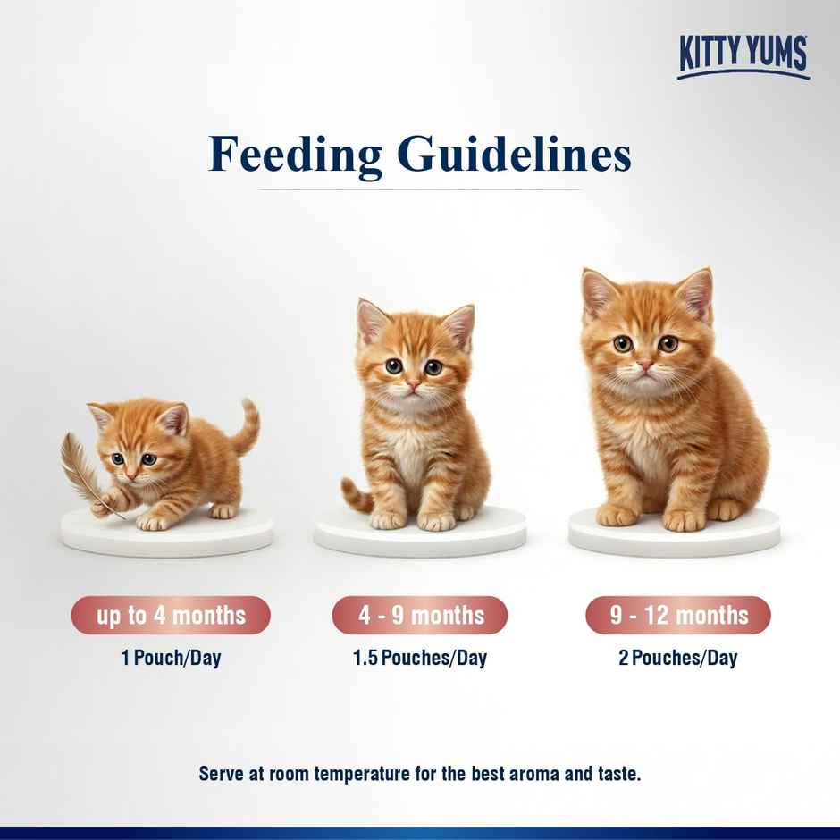 Kitty Yums Ocean Fish Mousse Kitten Wet Cat Food