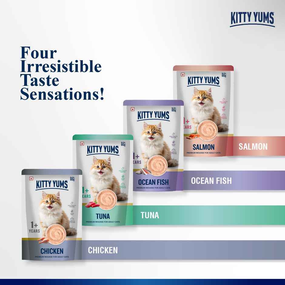 Kitty Yums Ocean Fish Mousse Adult Cat Wet Food