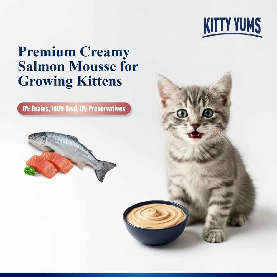 Kitty Yums Ocean Fish Mousse Kitten Wet Cat Food