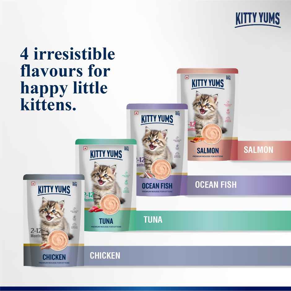 Kitty Yums Salmon Mousse Kitten Wet Cat Food