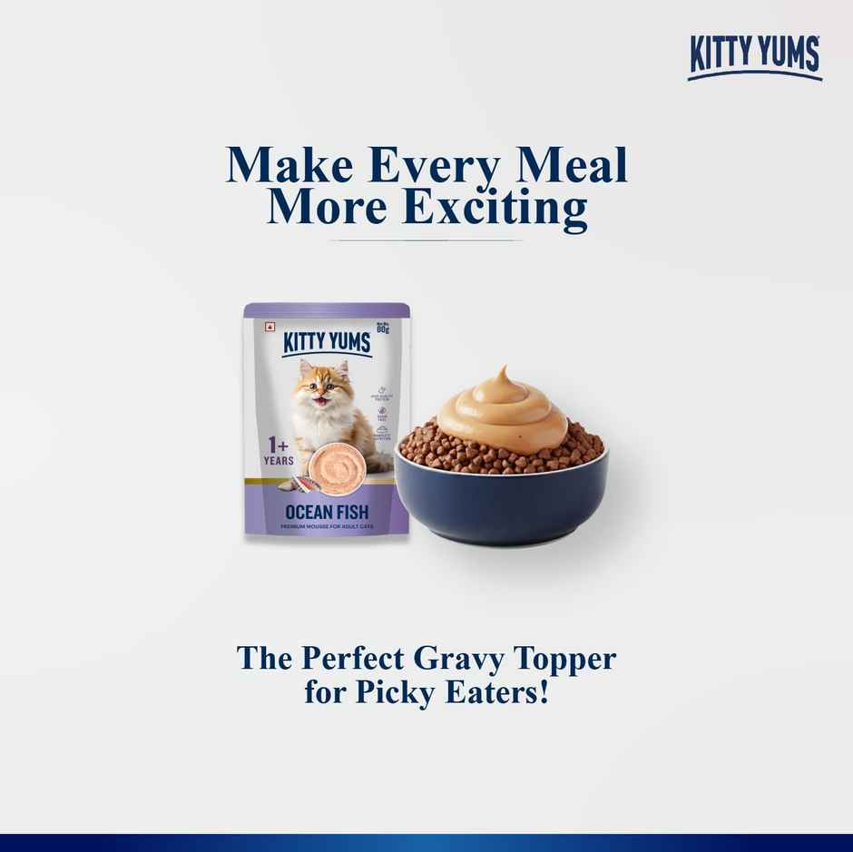 Kitty Yums Ocean Fish Mousse Adult Cat Wet Food