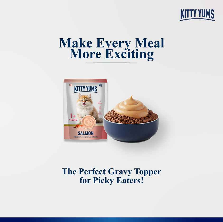 Kitty Yums Salmon Mousse Adult Cat Wet Food