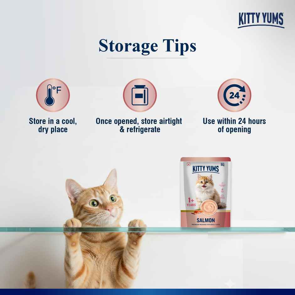 Kitty Yums Salmon Mousse Adult Cat Wet Food