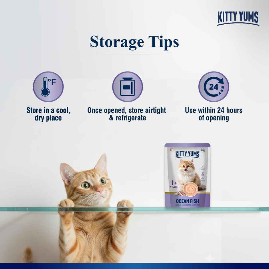 Kitty Yums Chicken Mousse Adult Cat Wet Food