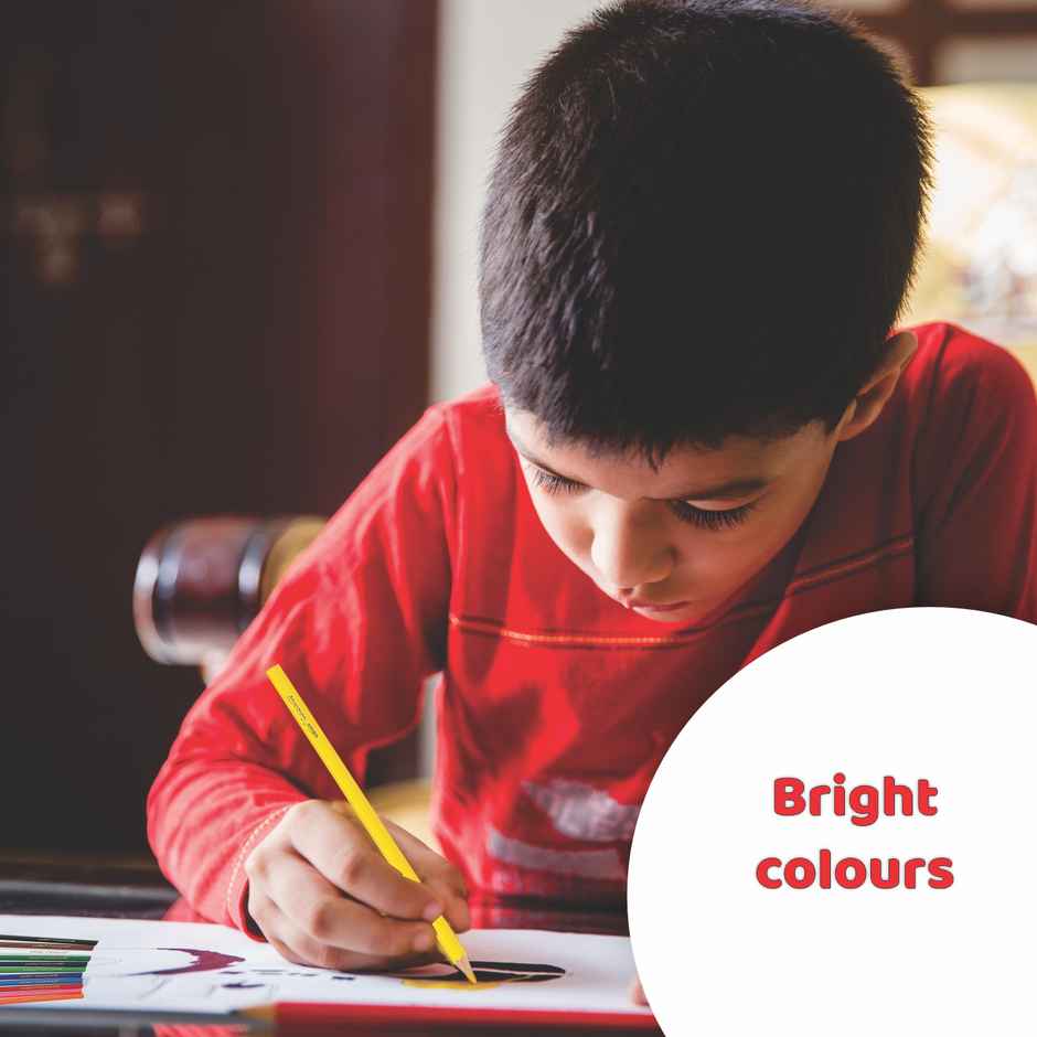 Cello ColourUp Colour Pencils-12 Shades