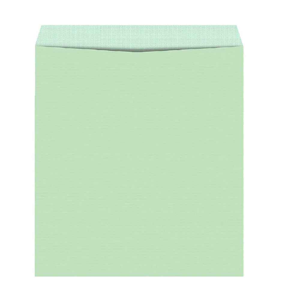 Paperbees A4 Sized Cloth Lined Green Envelope Laminated