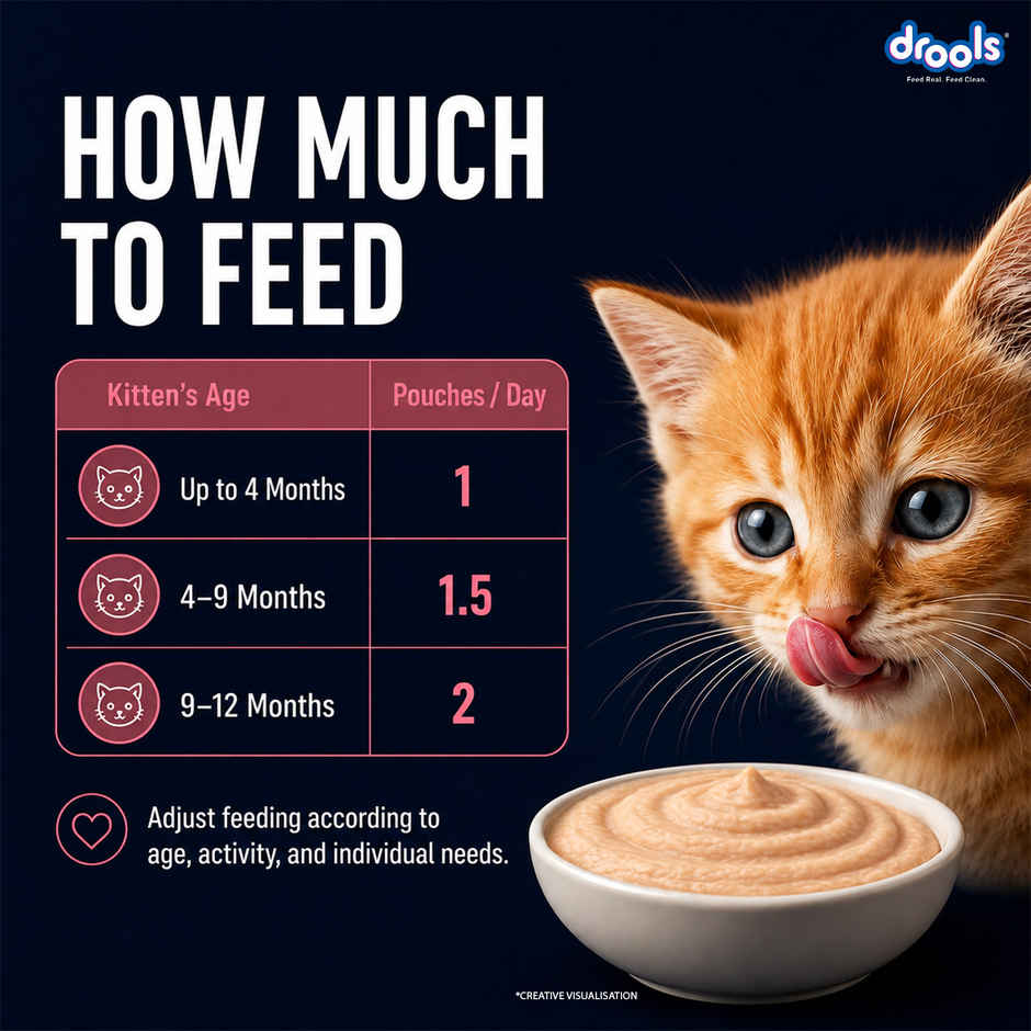 Drools Salmon Mousse Kitten Wet Food