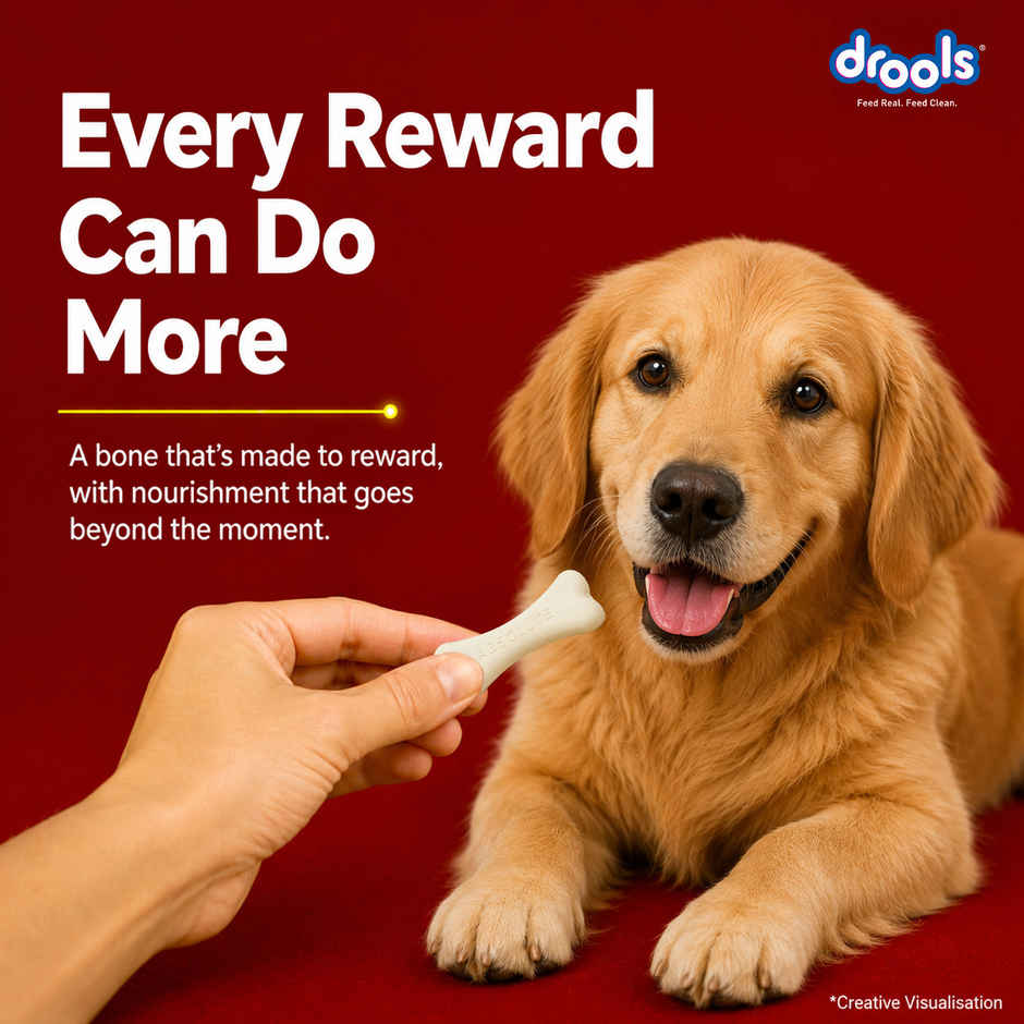 Drools Absolute Calcium Bone Jar, Dog Supplement - 40 pieces (600g)