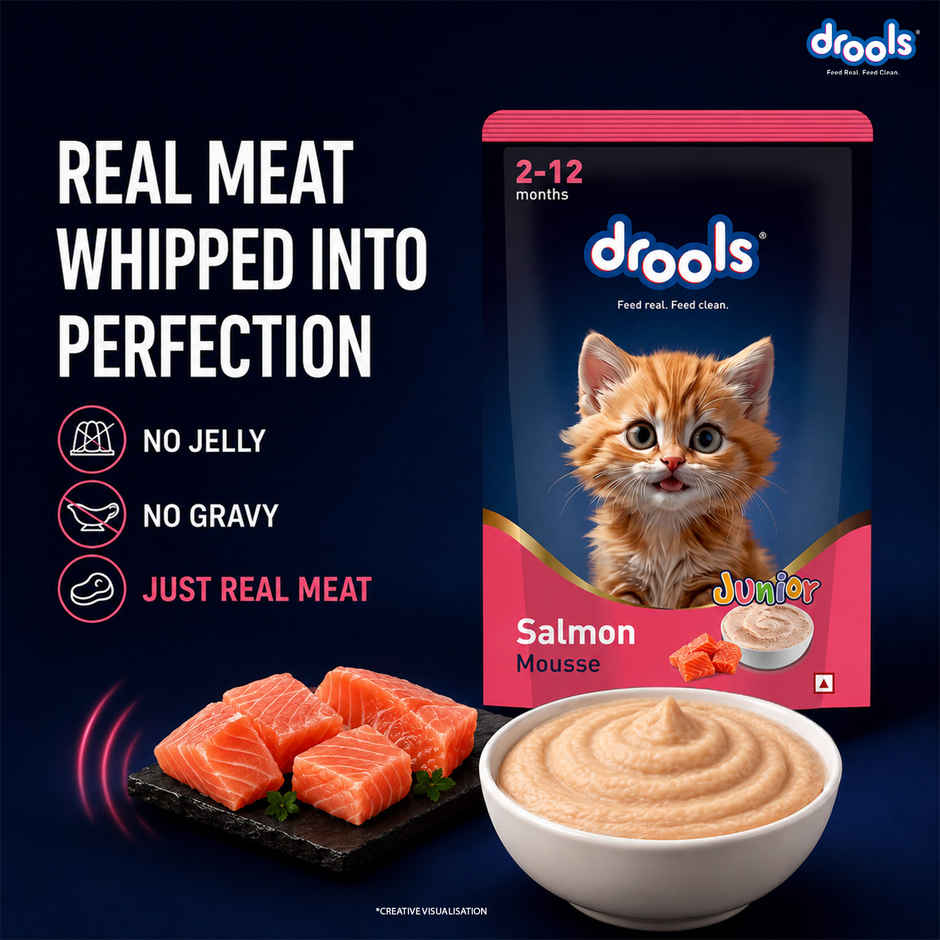Drools Salmon Mousse Kitten Wet Food