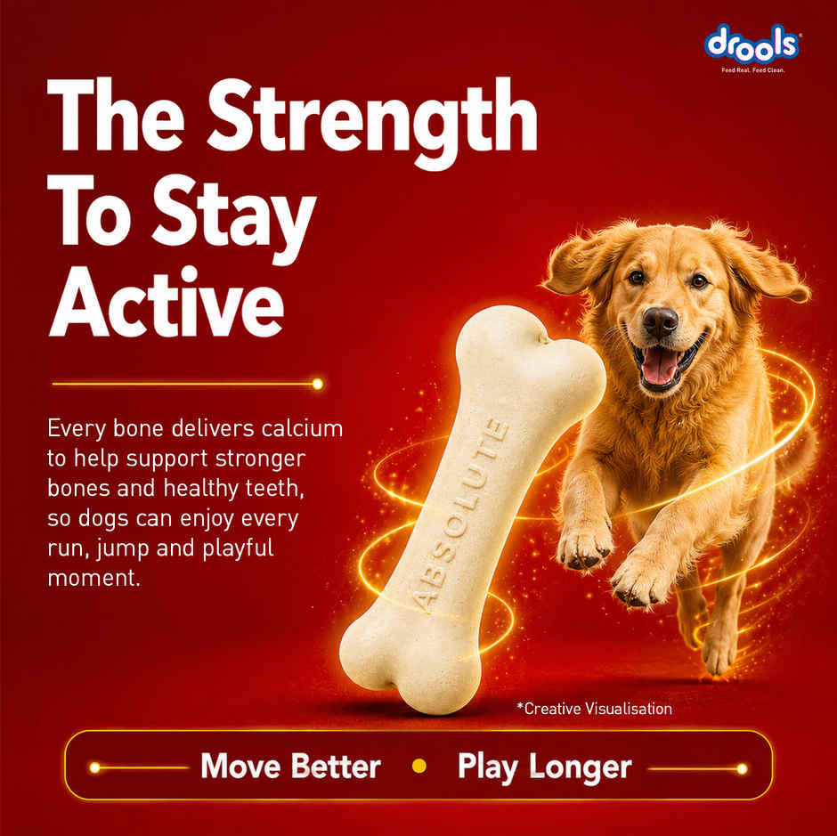 Drools Absolute Calcium Bone Jar, Dog Supplement - 40 pieces (600g)