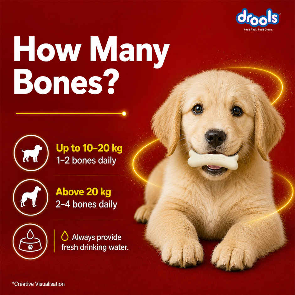 Drools Absolute Calcium Bone Jar, Dog Supplement - 40 pieces (600g)