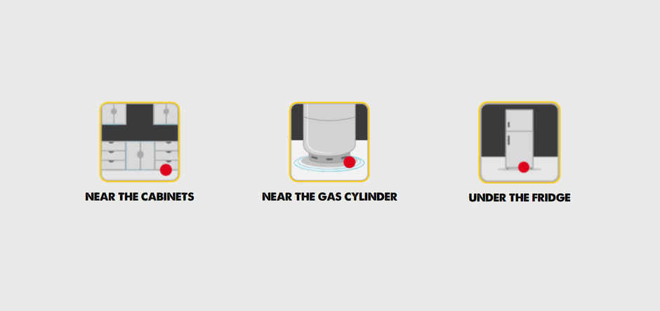 HIT Rat Killer Cubes