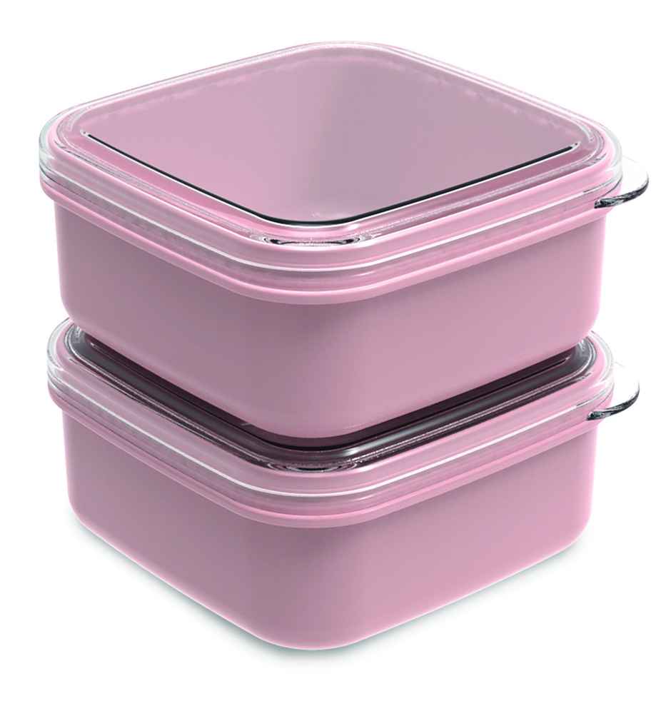 All Time Bestow Storage Box | Set Of 2 | 560 ml Each | (Colour May Vary)