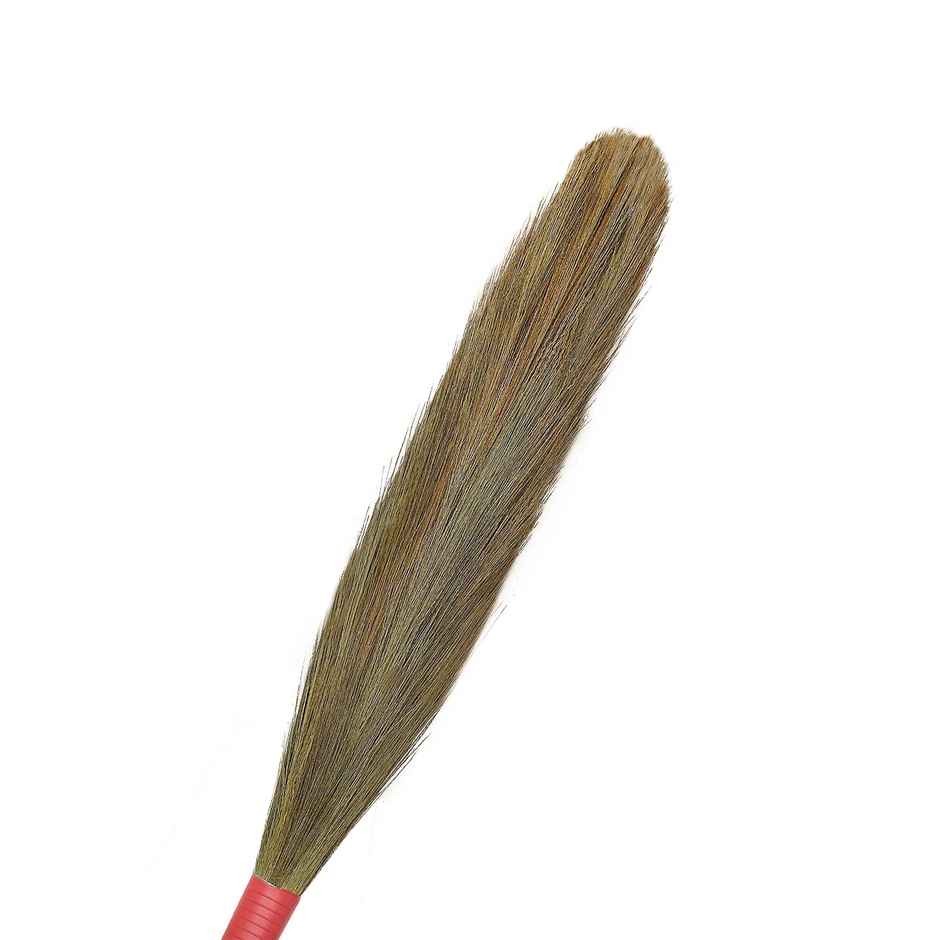 DASH Grass Broom Pack Of 1