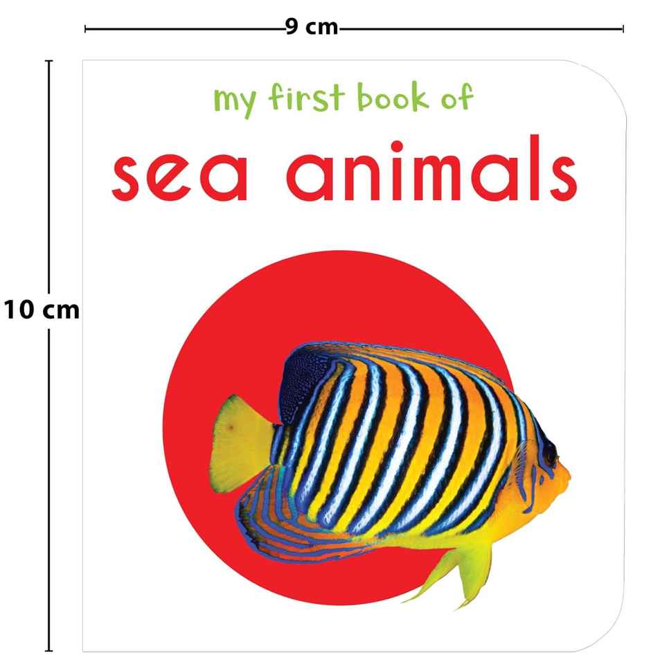 My First Library Board Books for Kids set of 10