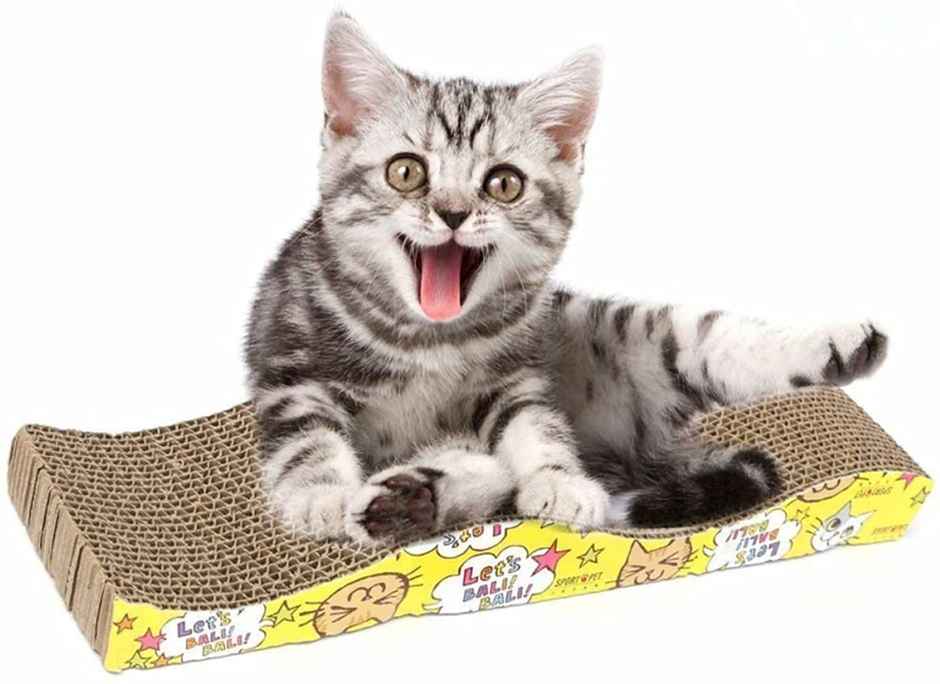 Pets Empire Wave Shaped Cat scratcher board for Cats | 45x21cm
