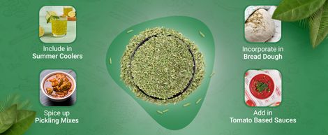 Nutraj Classic Badi Saunf (Fennel Seeds) - Pouch