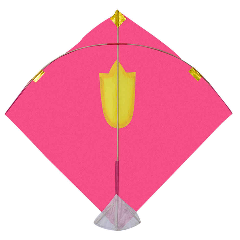 Paper Kite | Color and Design May Vary | Pack of 5 | Patang | Festaholic
