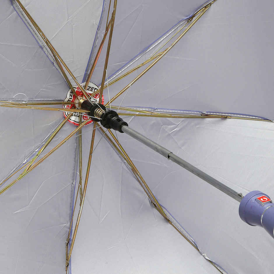 Citizen 2 Fold 21 Inch Purple Mono Silver Umbrella