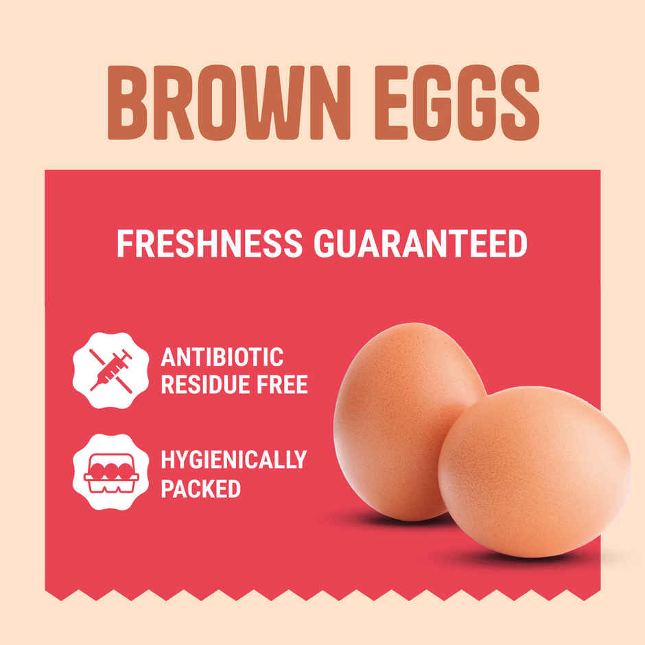 Relish Brown Eggs - Pack of 6