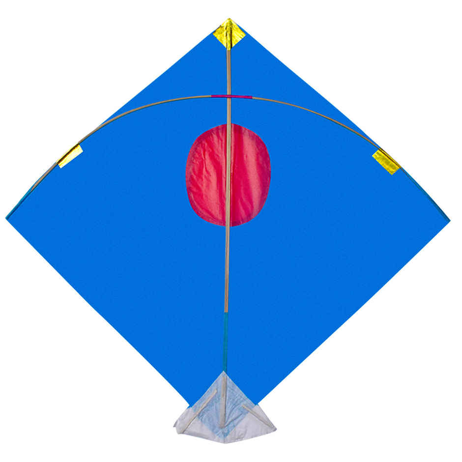 Paper Kite | Color and Design May Vary | Pack of 5 | Patang | Festaholic