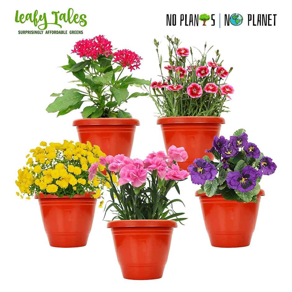 Leafy Tales Small 6" Terracotta Plastic Pots | 6 Pieces | 6 Inch Pot Size
