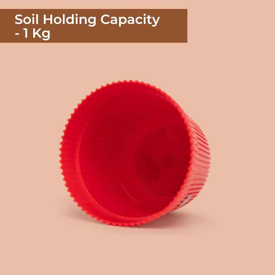 Cylindrical Plastic Plant Pot | 12.5 x 12 x 13 cm | Multicolour